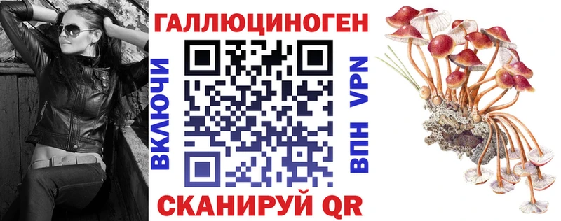 omg ссылки  Суворов  Псилоцибиновые грибы мицелий  где найти  